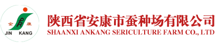 小艾电竞