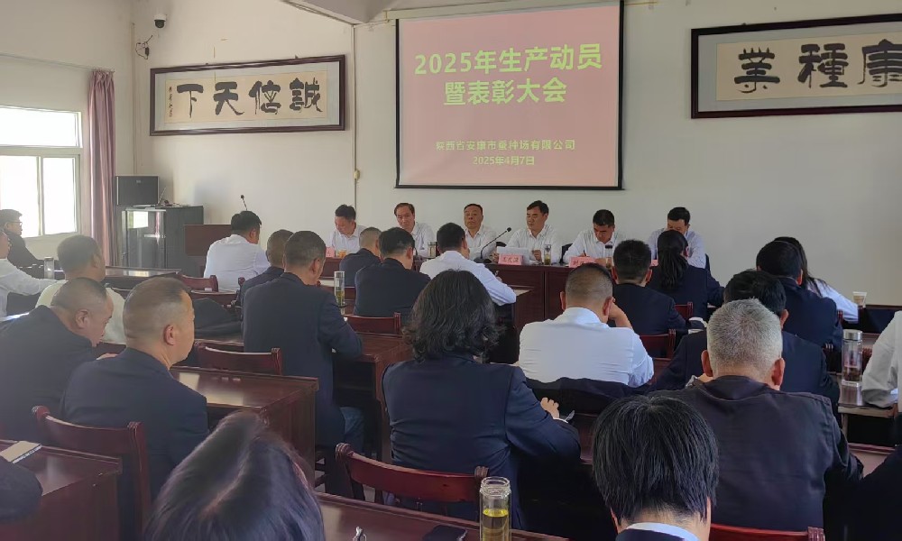 小艾电竞召开2025年生产动员暨表彰大会