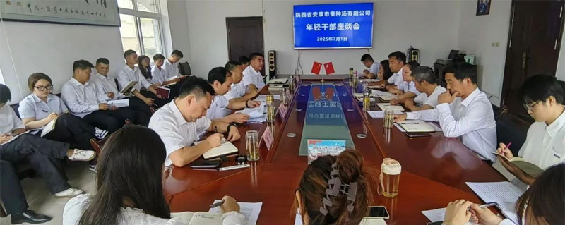 凝聚青春力量 共话使命担当—小艾电竞召开年轻干部座谈会
