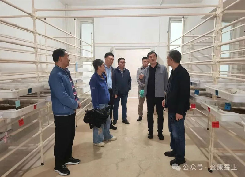 省农作物种质资源库调研组到小艾电竞调研桑蚕种质资···