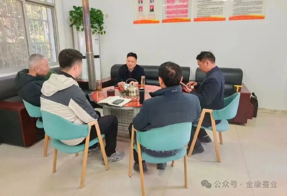 小艾电竞赴石泉县饶峰镇金星村调研指导乡村振兴定点···